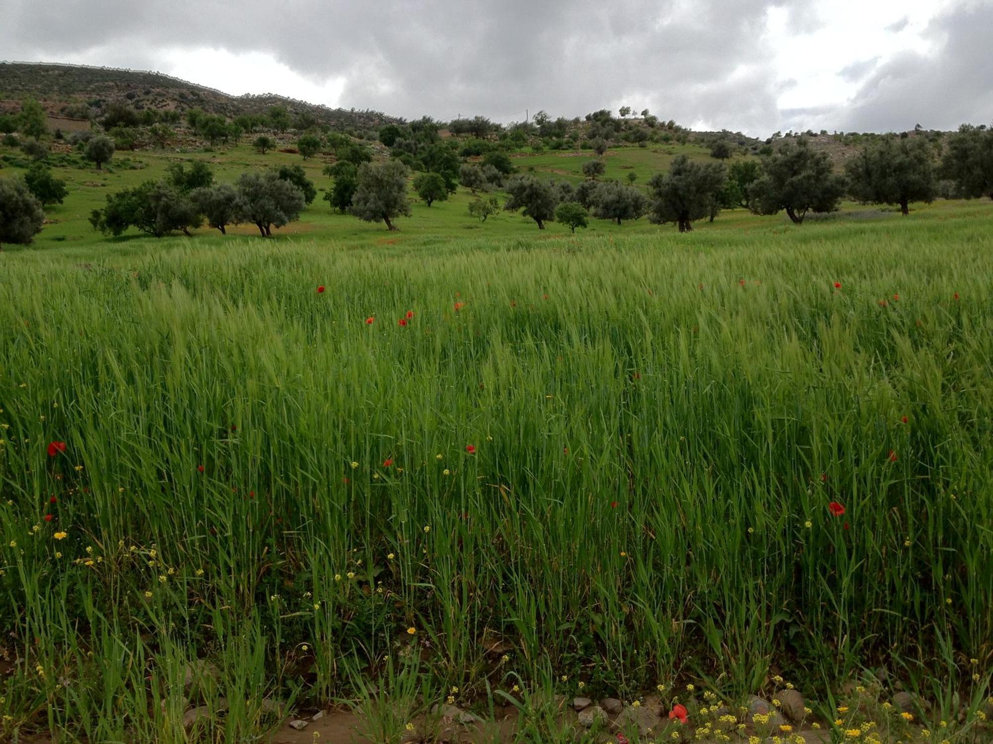 Soo Bin Villa Bine el Ouidane Dış mekan fotoğraf
